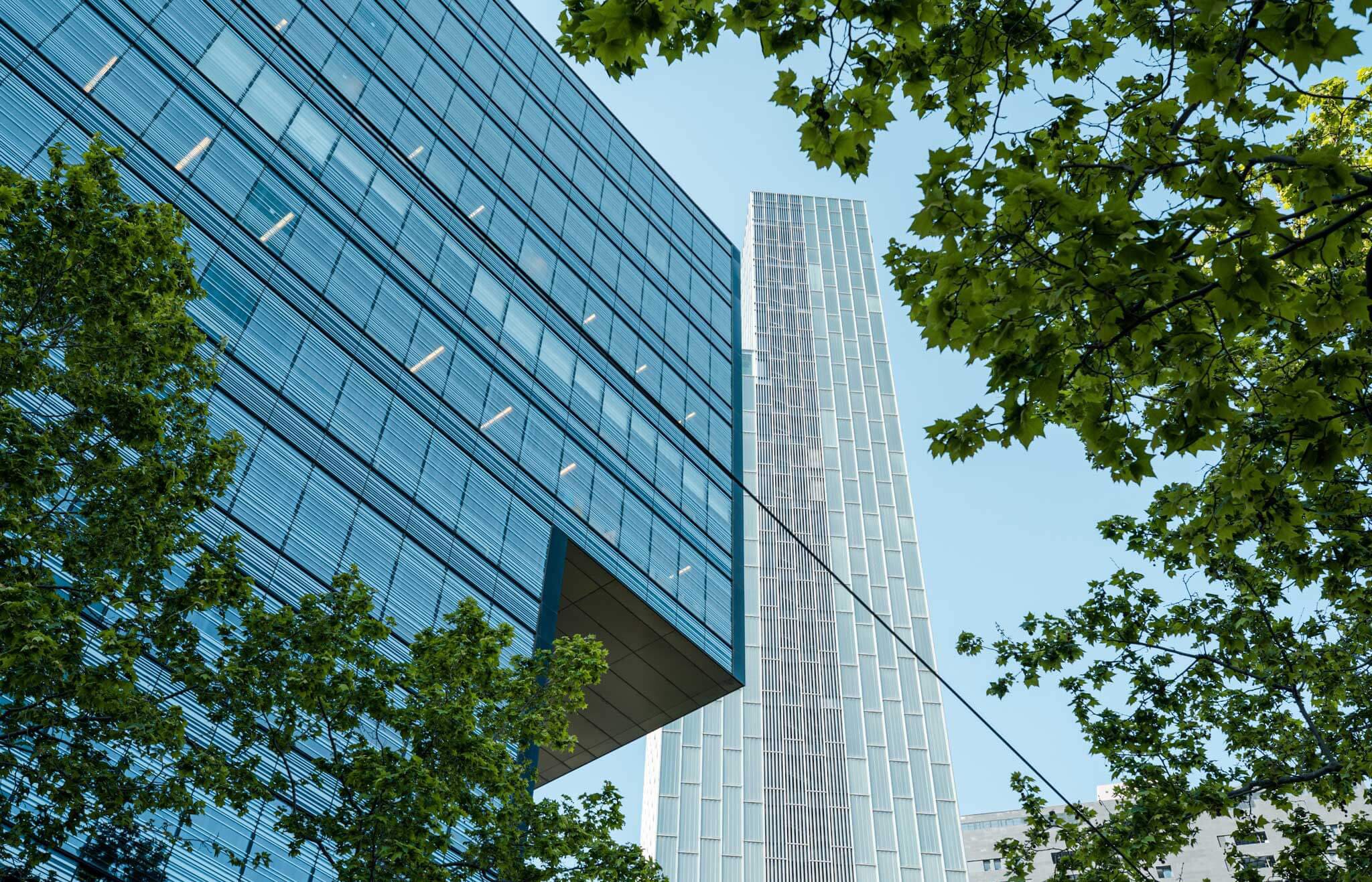 GP-oficina-diagonal-3