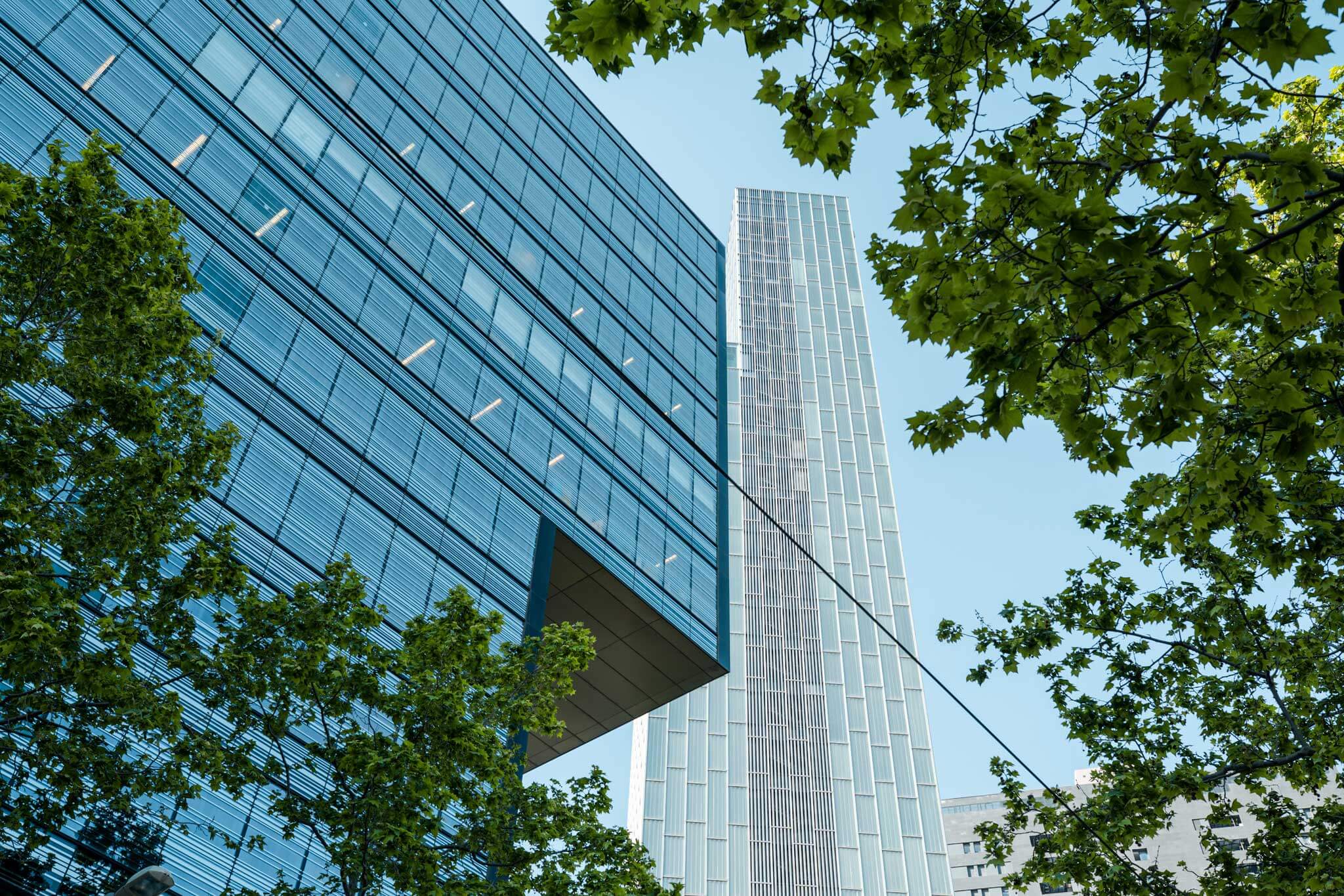 GP-oficina-diagonal-3